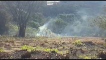 Bombeiros combatem incêndio em vegetação no Universitário