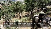 Pençe-Kilit ve Pençe-Kaplan bölgelerinde 5 PKK'lı terörist etkisiz hale getirildi