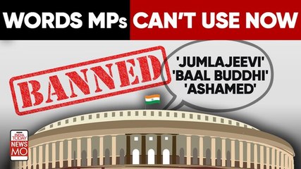 Unparliamentary Words’ Dictionary: Why 'Jumlajeevi' or 'ashamed' can land Indian MPs in trouble
