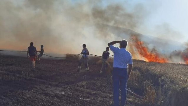 Son dakika haber | İNEGÖL'DE BUĞDAY TARLASINDA YANGIN; 40 DÖNÜM EKİLİ ALAN YANDI