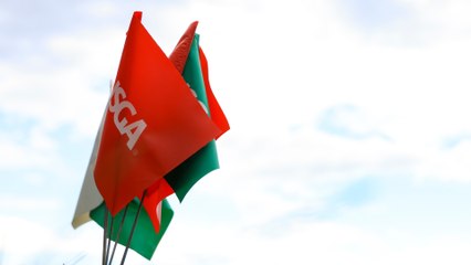 How Do Select Brands Help Enhance The USGA's Reach?