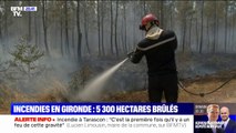 5300 hectares de forêt brûlés par les incendies en Gironde