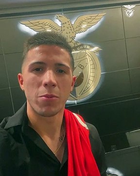 Palavras Enzo Fernandez