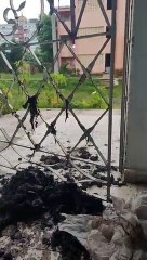 Lanzan saco de excrementos en la casa en Cuba de Roxana García y Jonatan López