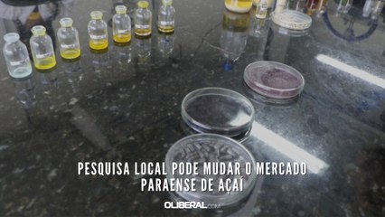 Pesquisa local pode mudar o mercado paraense de açaí