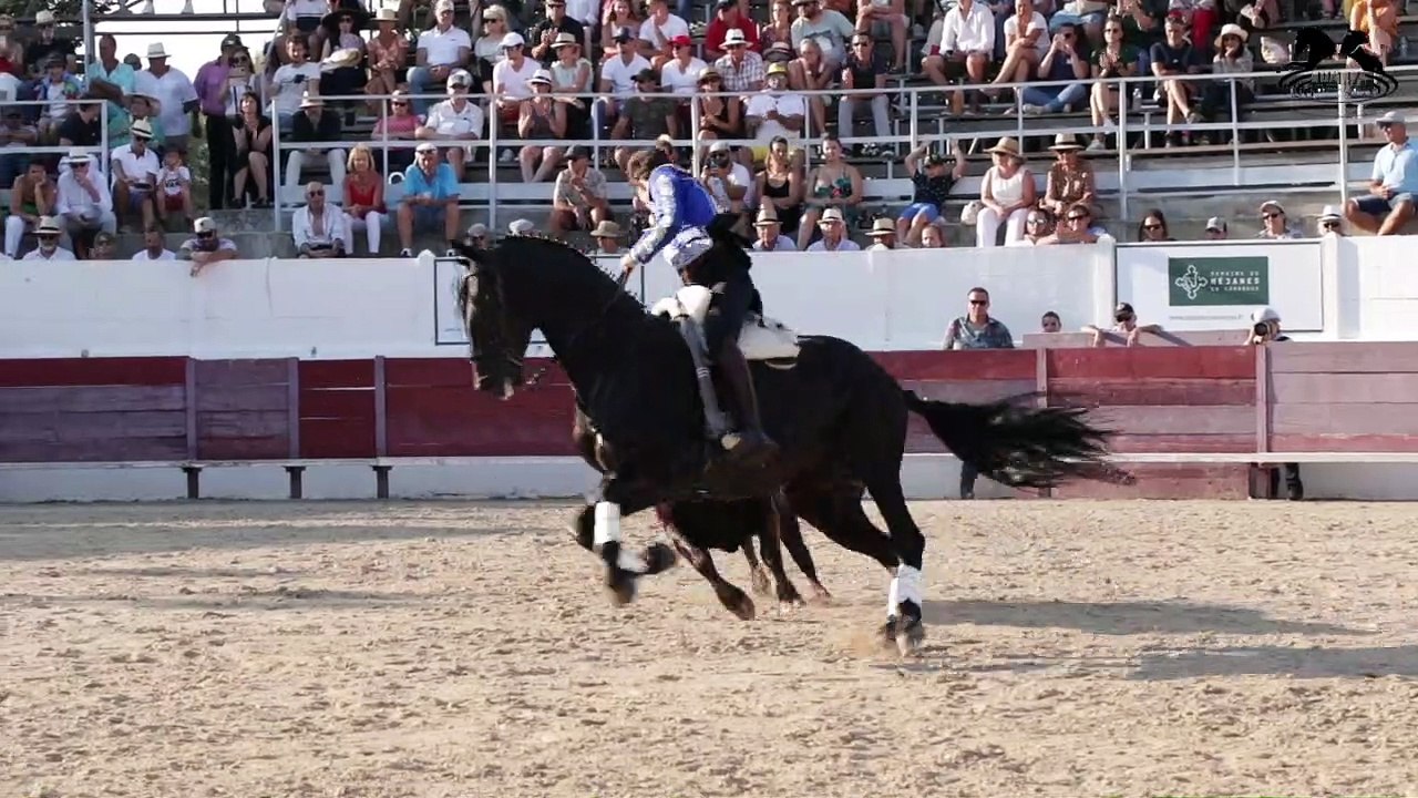 Mejanes 14-7-2022