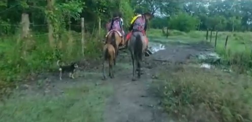 A caballo y en medio del lodo: travesía de niños en Santander para ir a estudiar