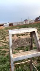 What Happens When You Step on Top Step of Ladder