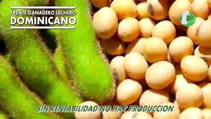 Ganaderos se van a la Quiebra