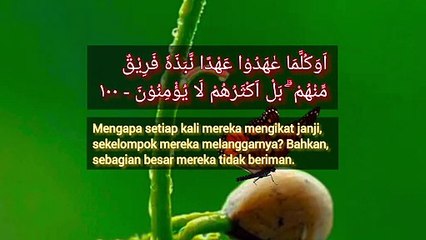 Bahkan, sebagian besar mereka tidak beriman | Al-Baqarah : 100 - 101