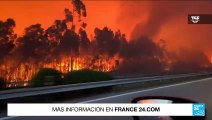Europa: miles de hectáreas consumidas por los incendios forestales