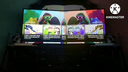 Backyard Explore Extraordinaire in Split Not Sure What I Did To