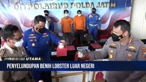Ditpolairud Polda Jatim Ringkus Sindikat Penyelundupan Benih Lobster Luar Negeri