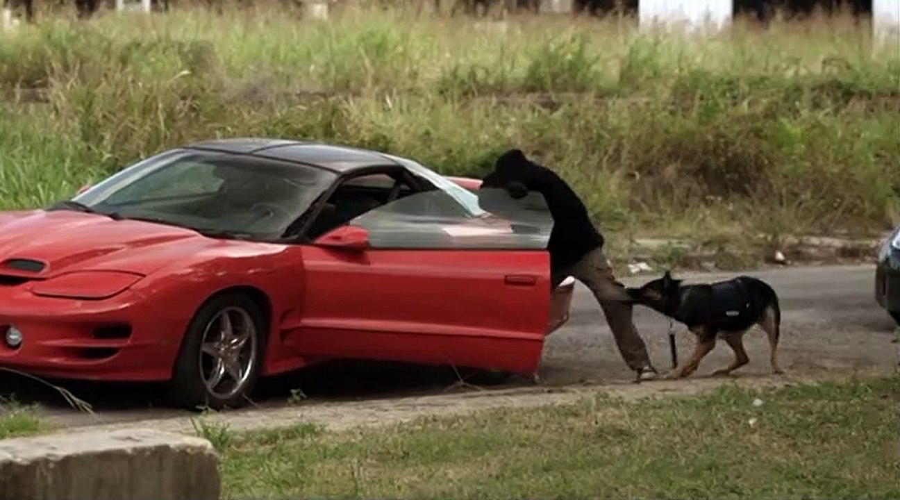 Common Law Staffel 1 Folge 8 HD Deutsch