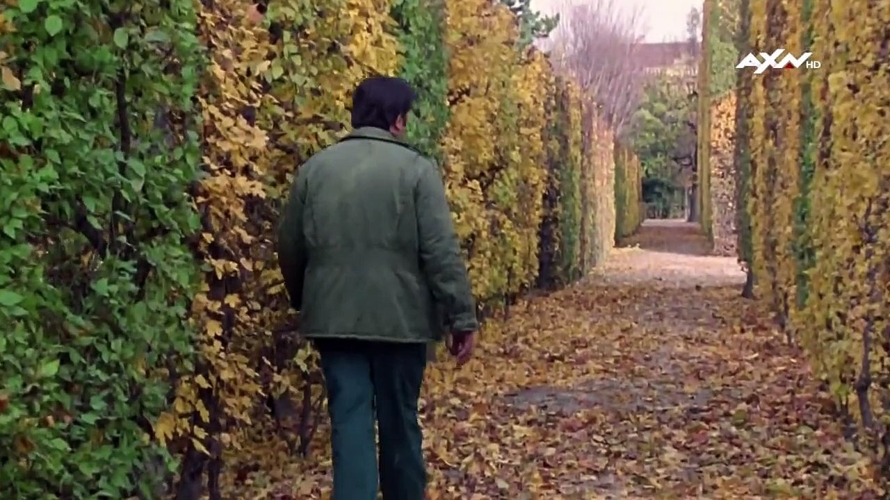 Kommissar Rex Staffel 1 Folge 6 HD Deutsch