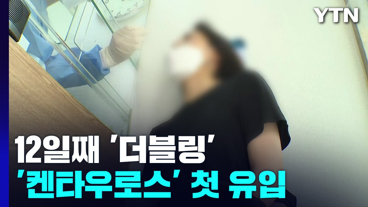 신규 확진자 12일째 더블링...'켄타우로스'도 국내 상륙 / YTN