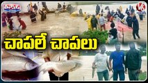 Huge Crowds To Catch Fishes In Heavy Flood Water _ Telangana Rains _ V6 Teenmaar