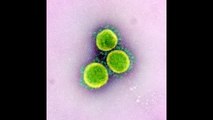 New Mutant Covid Variant From India BA 2 75 Detected In California & 6