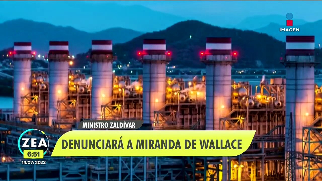Arturo Zaldívar denunciará a la activista Miranda de Wallace