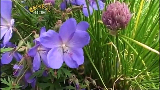 The Story Makers: Series 2: Buildings