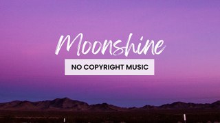 Lofi Music (Copyright Free Background Music) - Moonshine by Prigida
