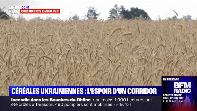Guerre en Ukraine: des millions de tonnes de céréales bloquées dans les ports ukrainiens