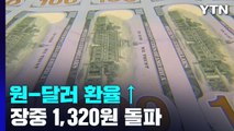 원-달러 환율, 13년 2개월 만에 장중 1,320원 돌파 / YTN
