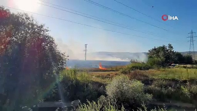 Buğday tarlası yangında küle döndü