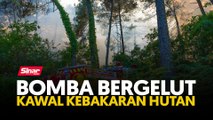 Bomba bergelut kawal kebakaran hutan
