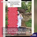 Nyesek! Suami Nikah Siri dengan Adik Kandung, Sikap Ibu Bikin Geleng Kepala