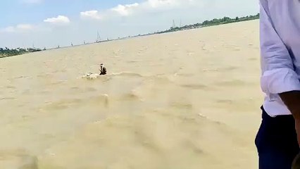 3 கிமீ தூரம்.. கங்கையின் பெருவெள்ளத்தில் மிதந்து.. பாகனை காத்த கம்பீர யானை - வீடியோ