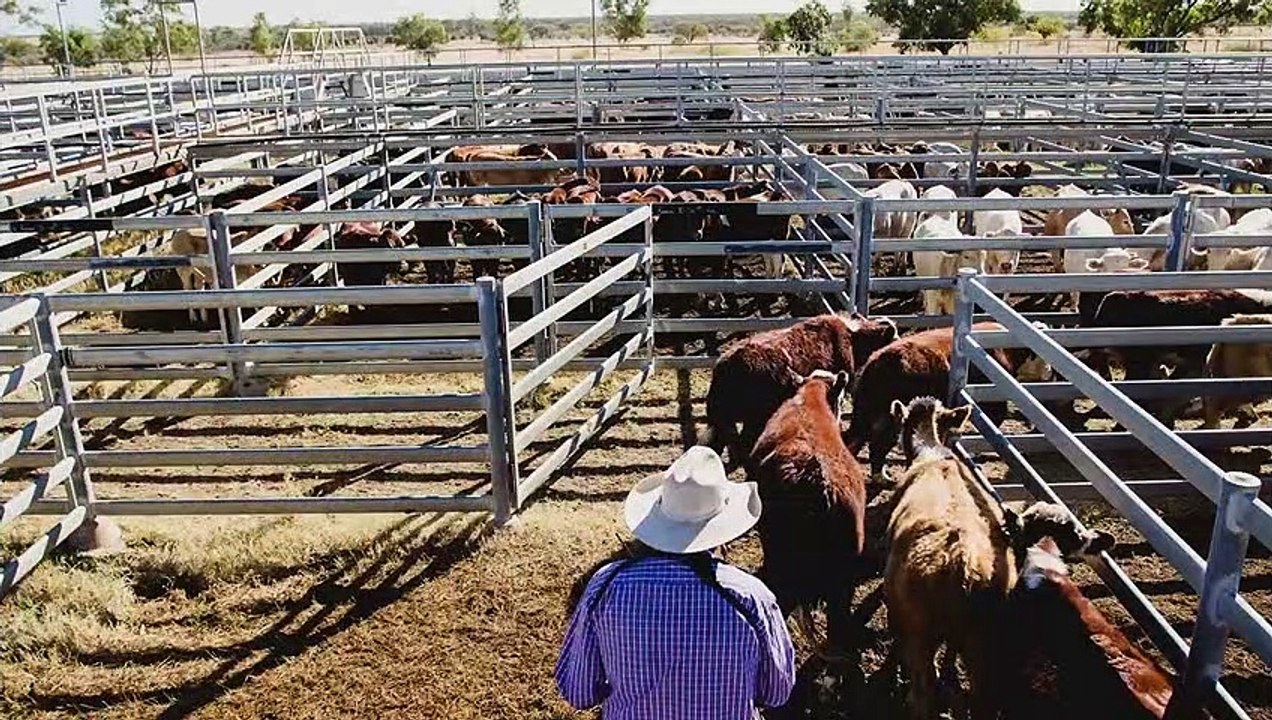 Barcaldine Gallery