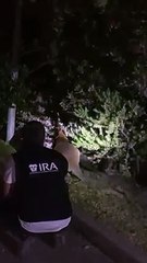 IRA - Intervenção e Resgate Animal