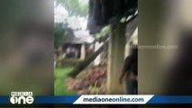 കനത്ത മഴയിൽ മരം വീണ് കോഴിക്കോട് ഫാറൂഖ് കോളേജിലെ കെട്ടിടം തകർന്നു