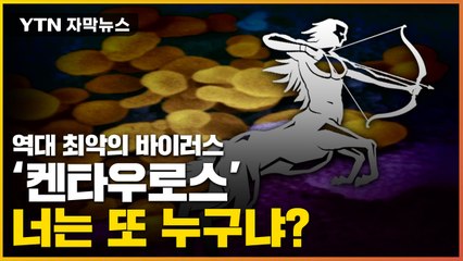 [자막뉴스] '켄타우로스', 너는 또 누구냐? / YTN