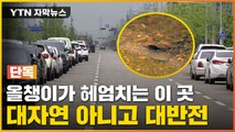 [자막뉴스] 신호위반해도 과속해도 OK...이상한 도로의 비밀 / YTN