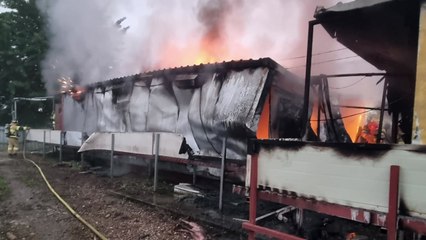 충남 공주시 농장에 불...돼지 600마리 폐사 / YTN