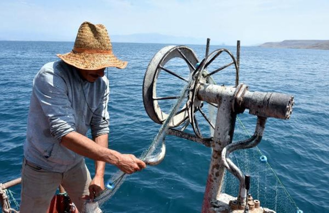 VAN GÖLÜ'NDE İNCİ KEFALİ İÇİN AV YASAĞI SONA ERDİ