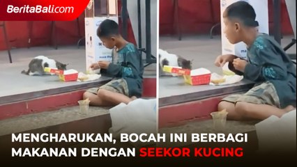 Bocah Berbagi Makanan dengan Kucing, Publik Terharu dan Langsung Sayang