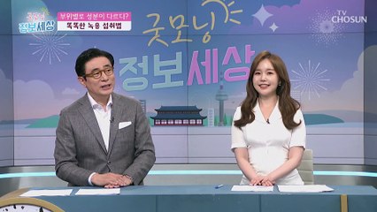 부위별 성분이 다른 녹용을 섭취하는 방법 TV CHOSUN 220715 방송