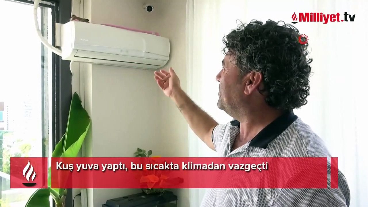 Kuş yuva yaptı, bu sıcakta klimadan vazgeçti