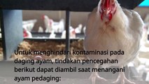 Cara Mengolah ayam sayur agar aman dan agar tidak terkontaminasi bakteri