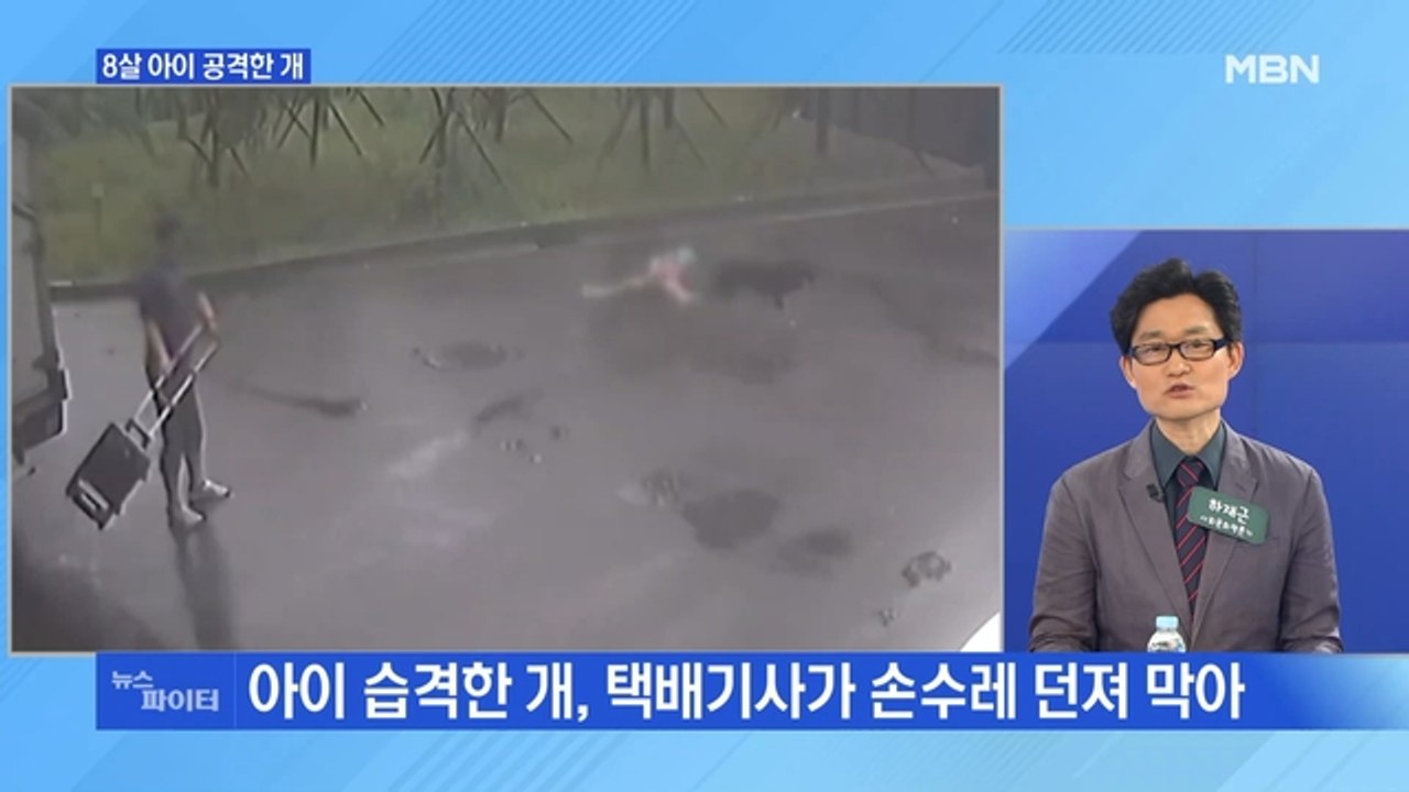 MBN 뉴스파이터-하교길 초등생 공격한 개…택배기사가 쫓아