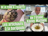 De la terre à l'assiette #5 : les artichauts à la barigoule de l'étoilé Xavier Mathieu