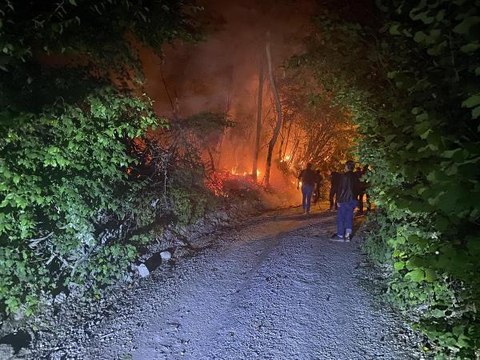 Son dakika haberi | KÜTAHYA'DA ORMAN YANGININA İLK MÜDAHALEYİ DEVRİYEDEKİ POLİS VE BEKÇİLER YAPTI