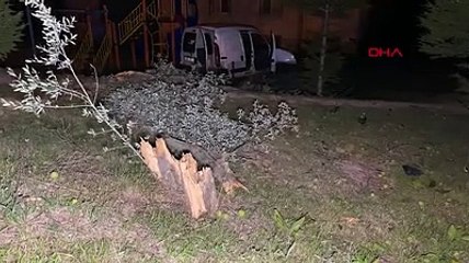 Ödünç aldıkları arabayla parka uçtular: 1 ölü, 1 yaralı