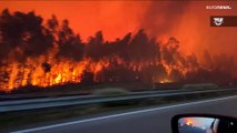 L'Europa in fiamme: divampano gli incendi in Francia e Portogallo