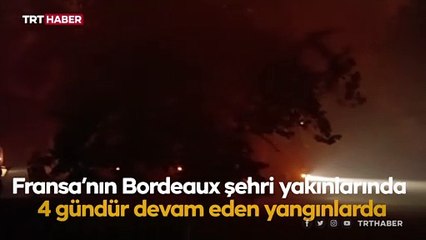 Fransa'da yangın: 7 bin hektardan fazla alan kül oldu