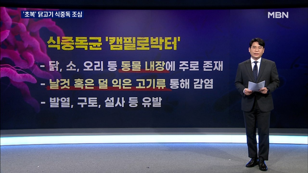 복날 몸보신 하려다 식중독…생닭 캠필로박터균 주의보