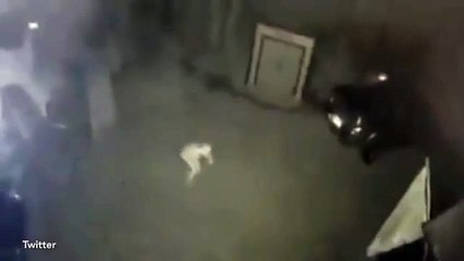 ABD'de bir gizemli yaratık güvenlik kameralarına yakalandı! Dünyayı sarsan yaratık Gollum'a benzetildi